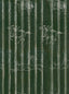 MindTheGap A FABLE Evergreen TRANSYLVANIAN ROOTS Wallpaper