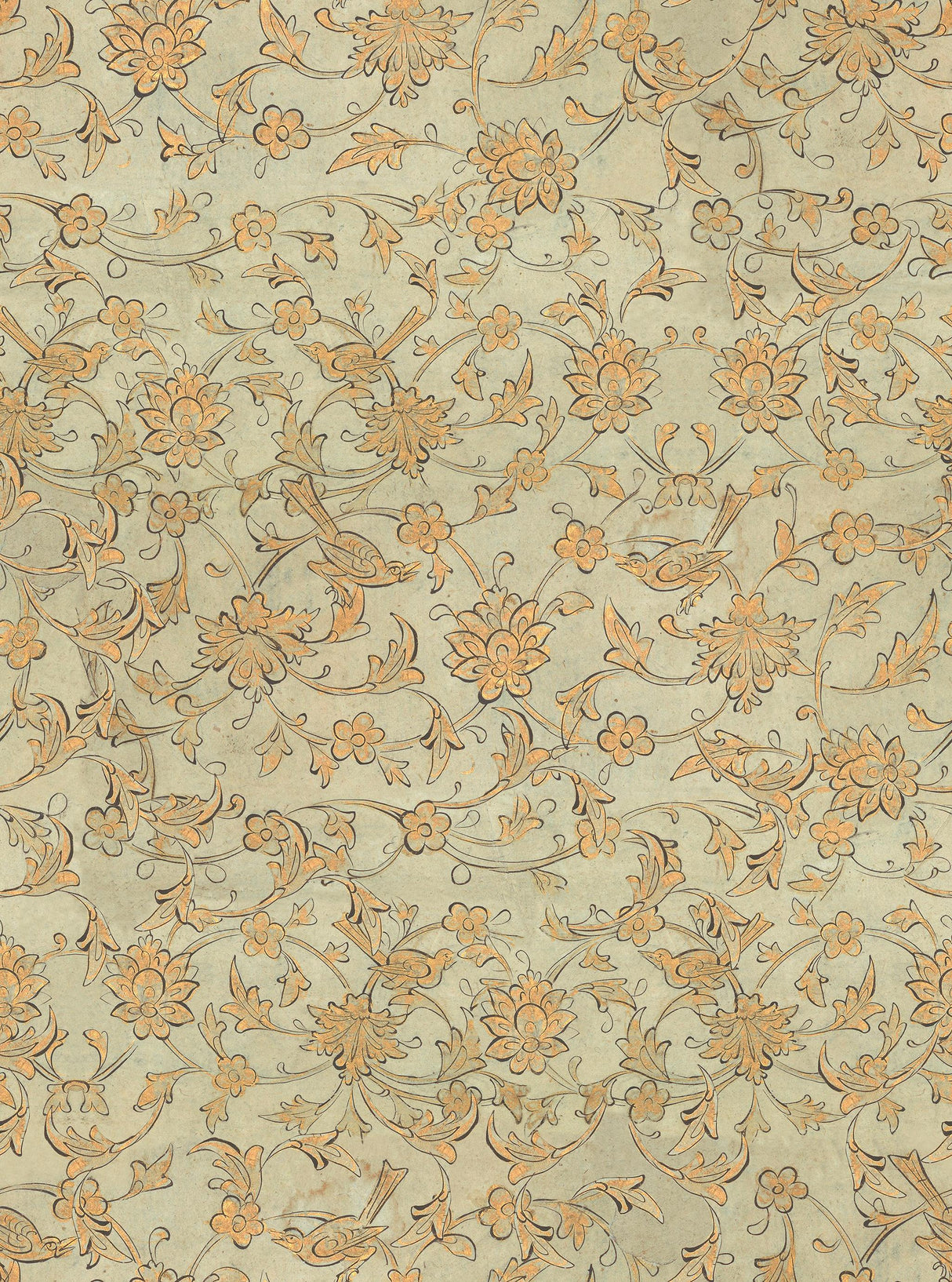 MindTheGap BACKYARD FLOWERING Seacrest TRANSYLVANIAN ROOTS Wallpaper