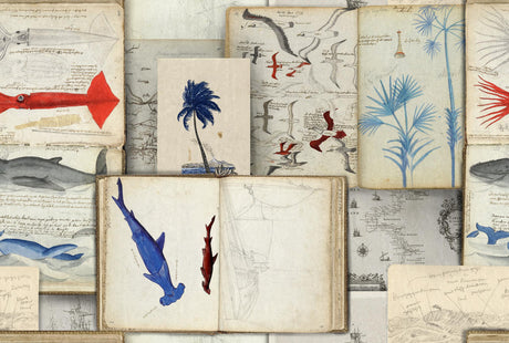 MindTheGap SEAMAN'S JOURNAL SUNDANCE VILLA Wallpaper