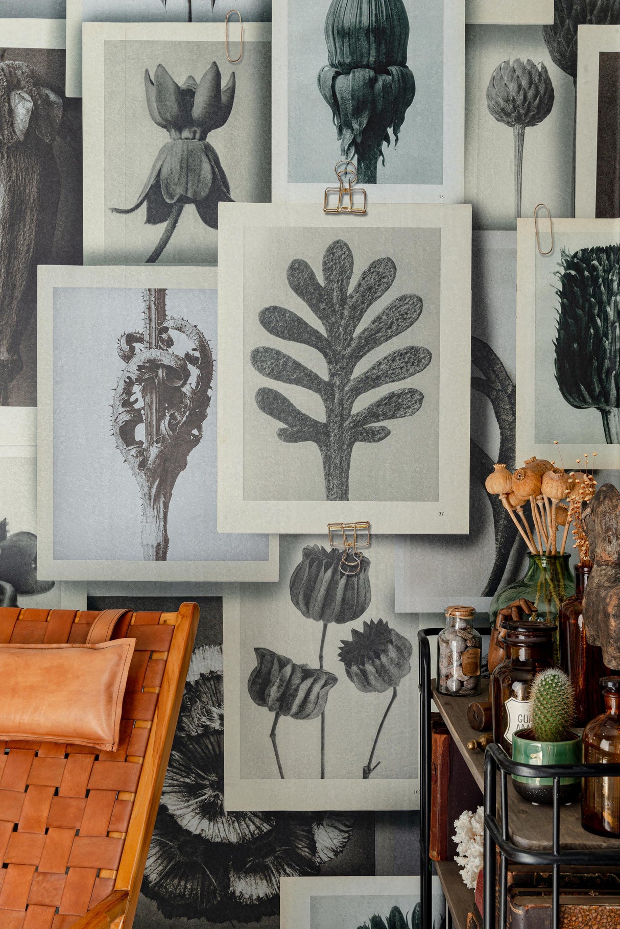 MindTheGap BLOSSFELDT'S ART FORMS The Artist's House Wallpaper