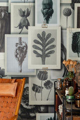 MindTheGap BLOSSFELDT'S ART FORMS The Artist's House Wallpaper