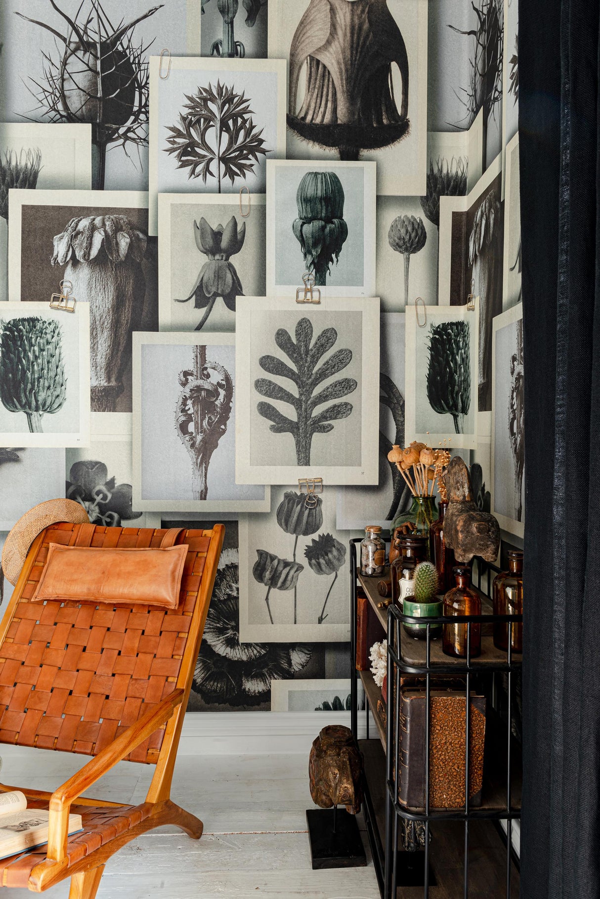 MindTheGap BLOSSFELDT'S ART FORMS The Artist's House Wallpaper