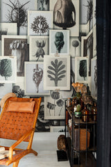 MindTheGap BLOSSFELDT'S ART FORMS The Artist's House Wallpaper