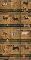 MindTheGap HORSE STABLE The Curator's Cabinet Wallpaper
