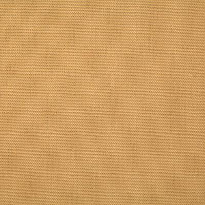 Pindler CALLAHAN GOLD Fabric