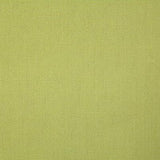 Pindler CALLAHAN PARROT Fabric