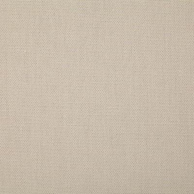 Pindler CALLAHAN PUMICE Fabric