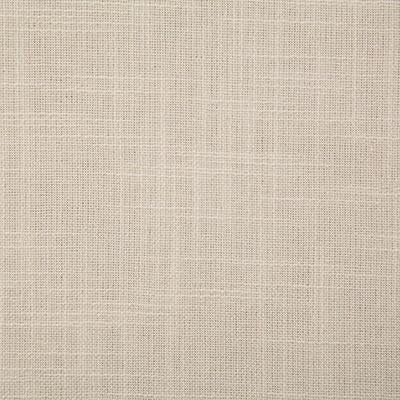 Pindler WENTWORTH CHAMOIS Fabric