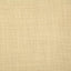 Pindler WENTWORTH DAFFODIL Fabric