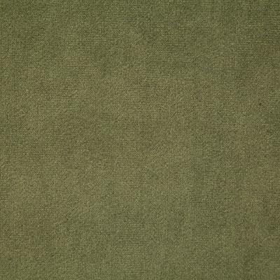 Pindler VOLTAIRE FERN Fabric