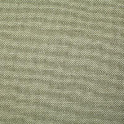 Pindler BRONSON LICHEN Fabric