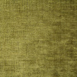Pindler PARIS FERN Fabric