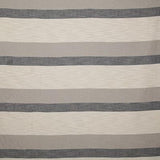 Pindler ANTIBES INK Fabric
