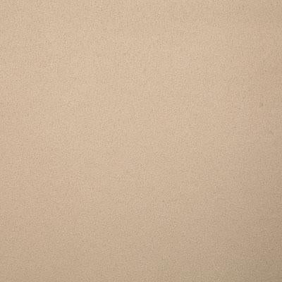 Pindler MUSTANG DUNE Fabric