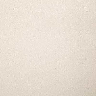 Pindler MUSTANG IVORY Fabric