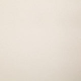 Pindler MUSTANG IVORY Fabric