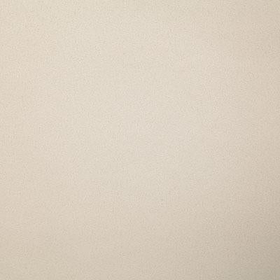 Pindler MUSTANG PAPYRUS Fabric