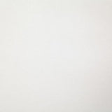 Pindler MUSTANG WHITE Fabric