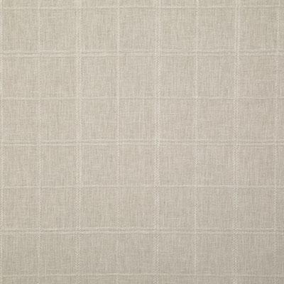 Pindler MONIQUE DOVE Fabric