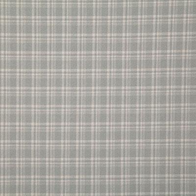 Pindler COLLIN MIST Fabric