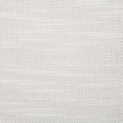 Pindler WEBER COCONUT Fabric