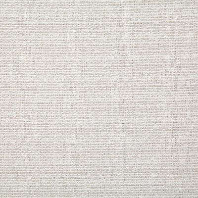 Pindler ALLEN SNOW Fabric