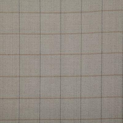 Pindler DANSON GRAY Fabric