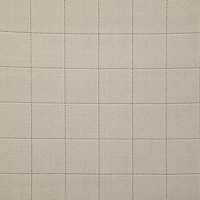 Pindler DANSON PEBBLE Fabric