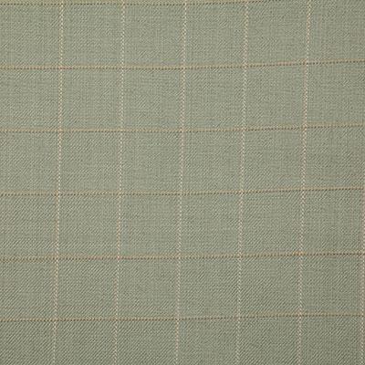 Pindler DANSON SAGE Fabric