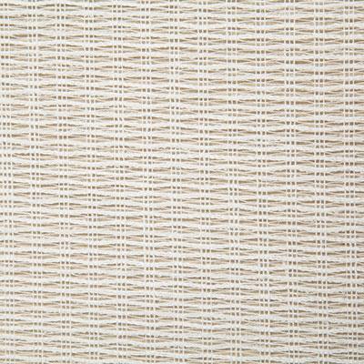 Pindler BARTLETT SNOW Fabric