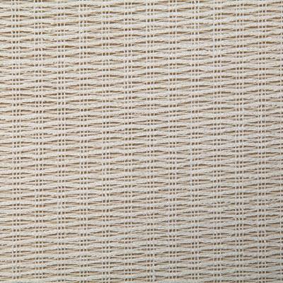 Pindler BARTLETT TUSK Fabric