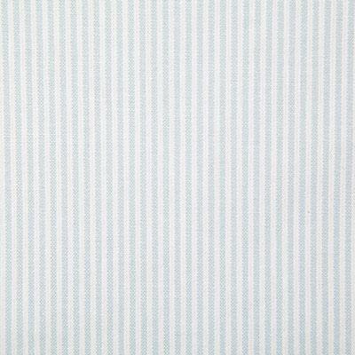 Pindler BENTLEY FROST Fabric