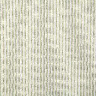 Pindler BENTLEY GRASS Fabric