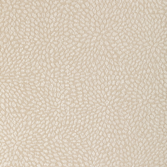 Kravet BASICS 35991 16 Fabric