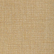 Kravet VENTURENO GOLD COAST Upholstery Fabric