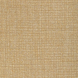 Kravet VENTURENO GOLD COAST Upholstery Fabric