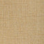 Kravet VENTURENO GOLD COAST Upholstery Fabric