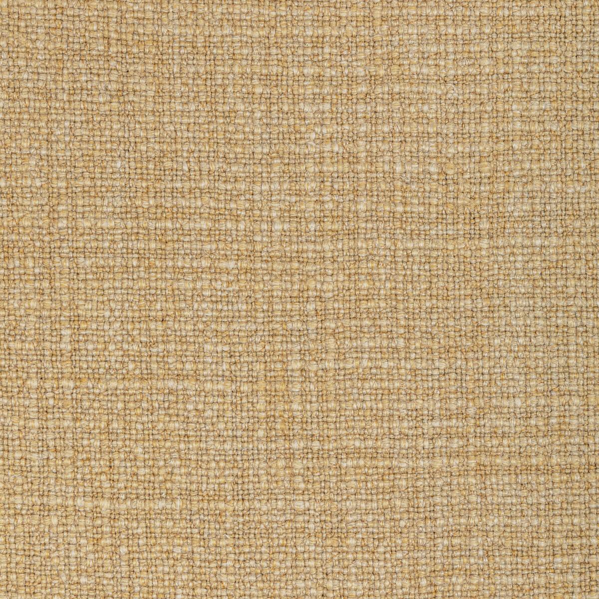 Kravet VENTURENO GOLD COAST Fabric