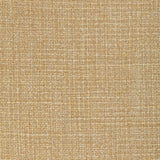 Kravet VENTURENO GOLD COAST Fabric