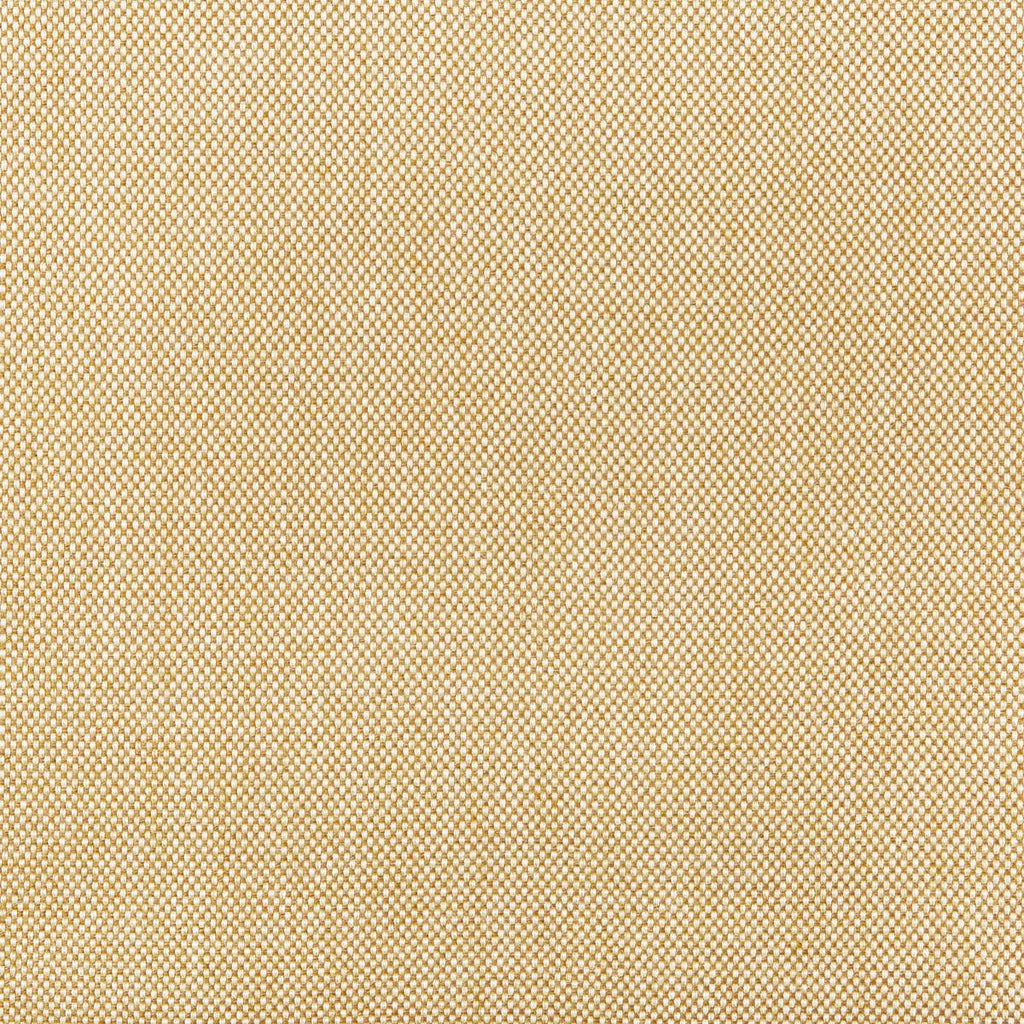 Kravet KRAVET BASICS 36829-16 Fabric
