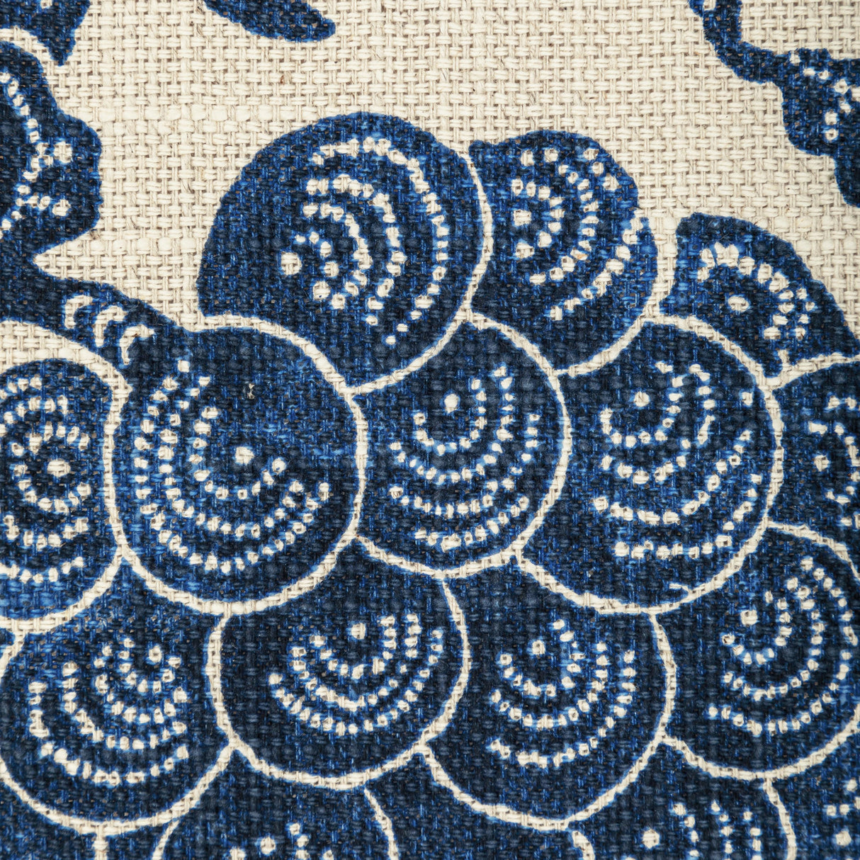 Kravet BASICS ABUNDANT 5 Fabric