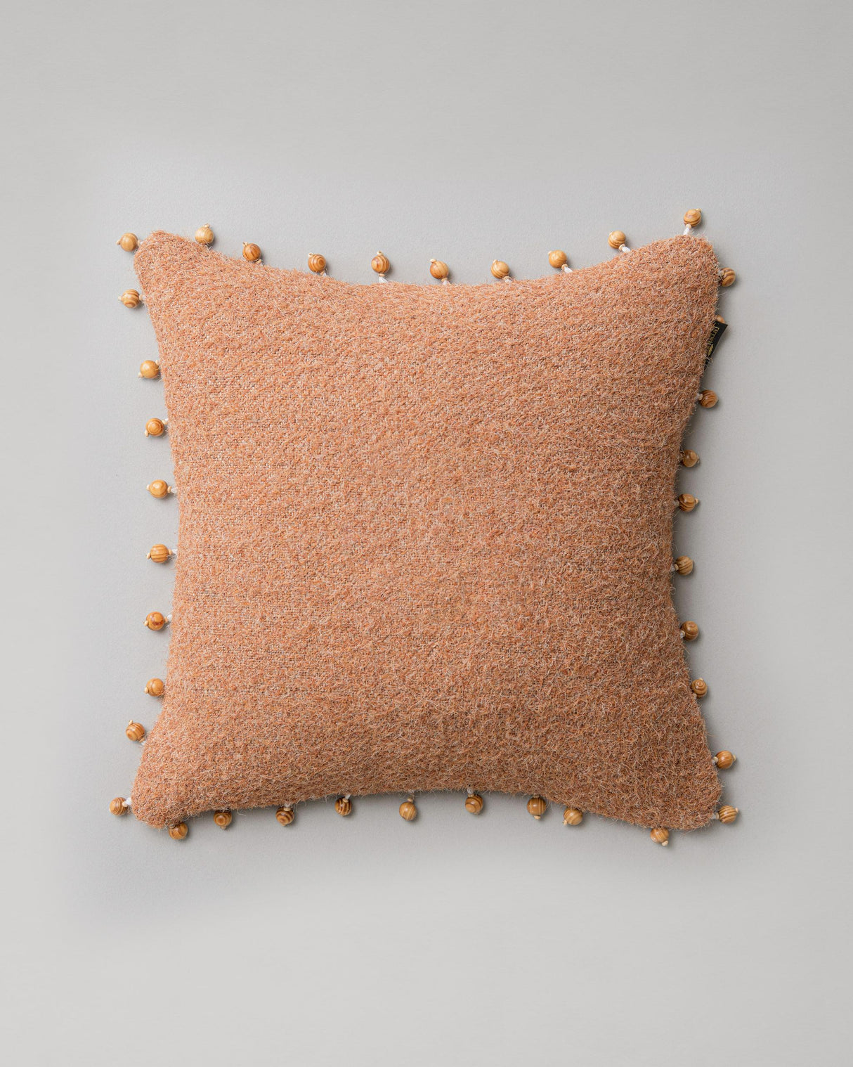 MindTheGap ALPINE SKI CLUB Cushions Pillow