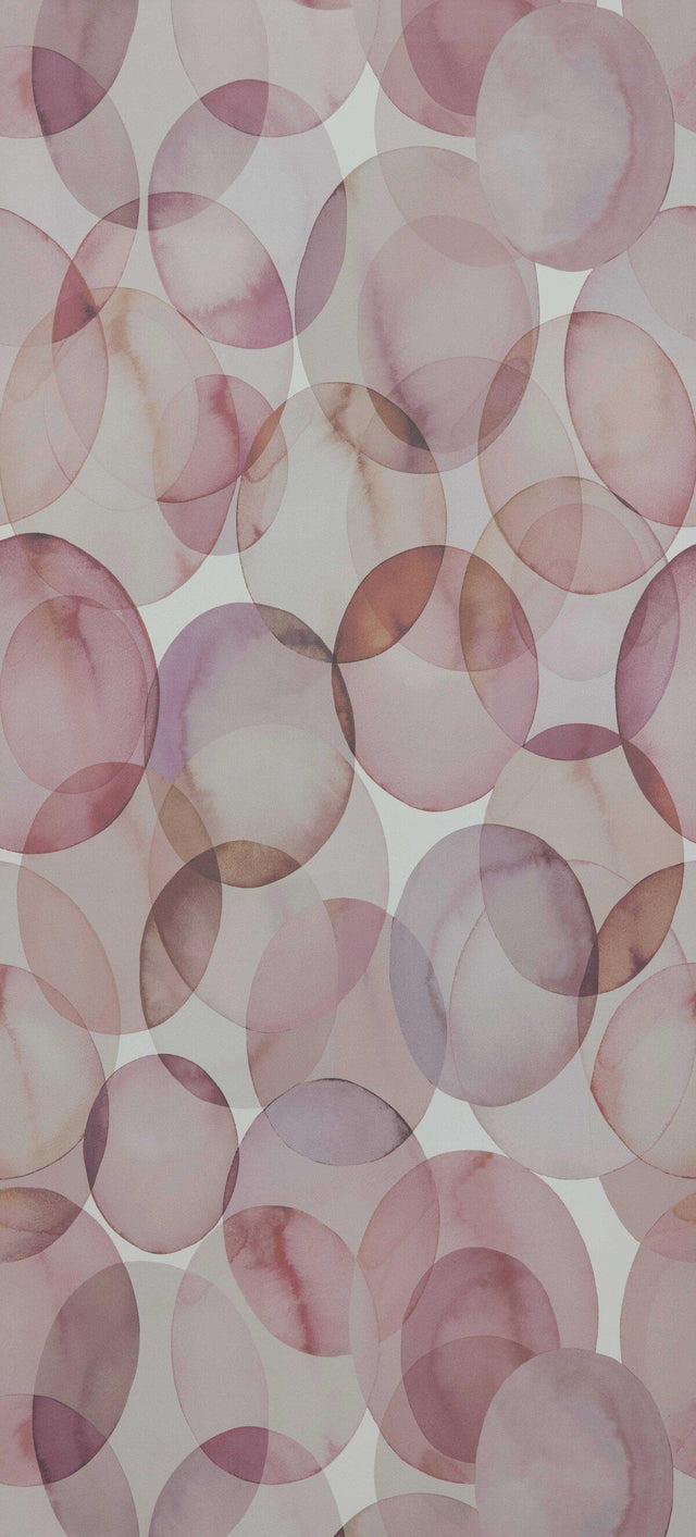 Maxwell HONESTY (WP) #03 SHELL Wallpaper