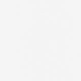 Maxwell DIAGON #143 WINTER Fabric