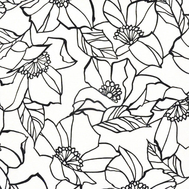 Maxwell DIANA #439 DOMINO Drapery Fabric