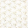 Maxwell VEDIC #221 HICKORY Drapery Fabric