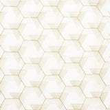 Maxwell VEDIC #221 HICKORY Drapery Fabric