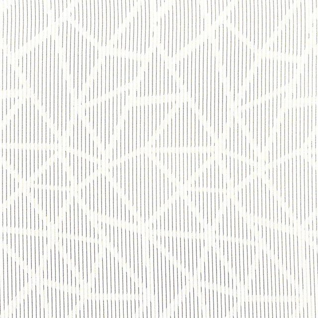 Maxwell GAUL #539 GRATE Fabric