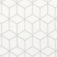Maxwell ITHACA #503 FOG Fabric