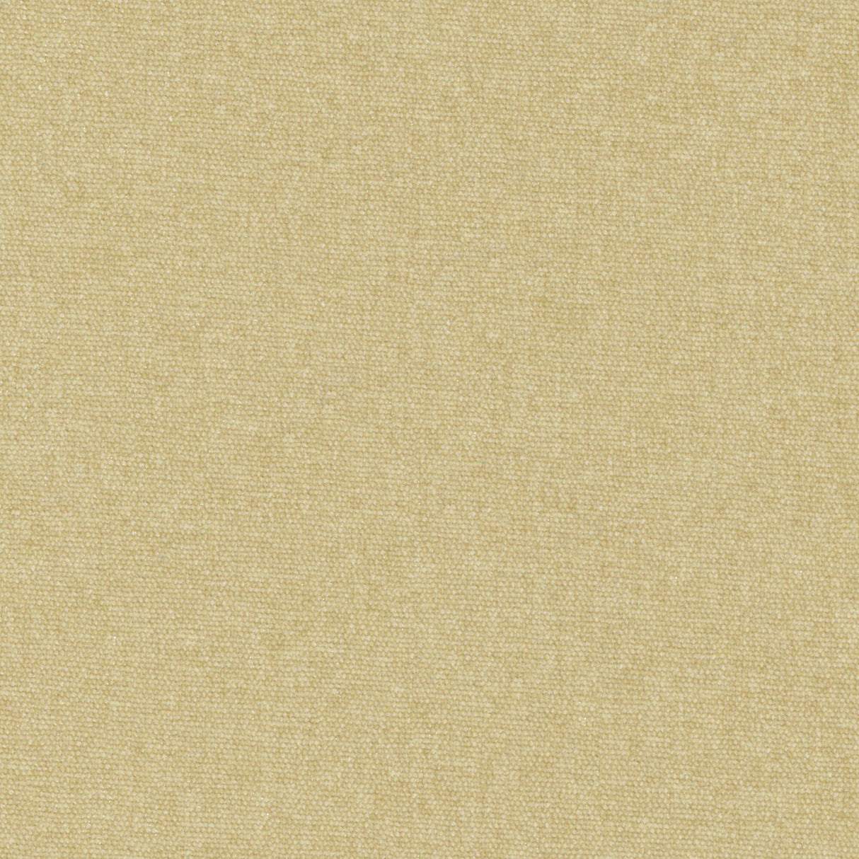 Maxwell CONTE #804 OATMEAL Fabric